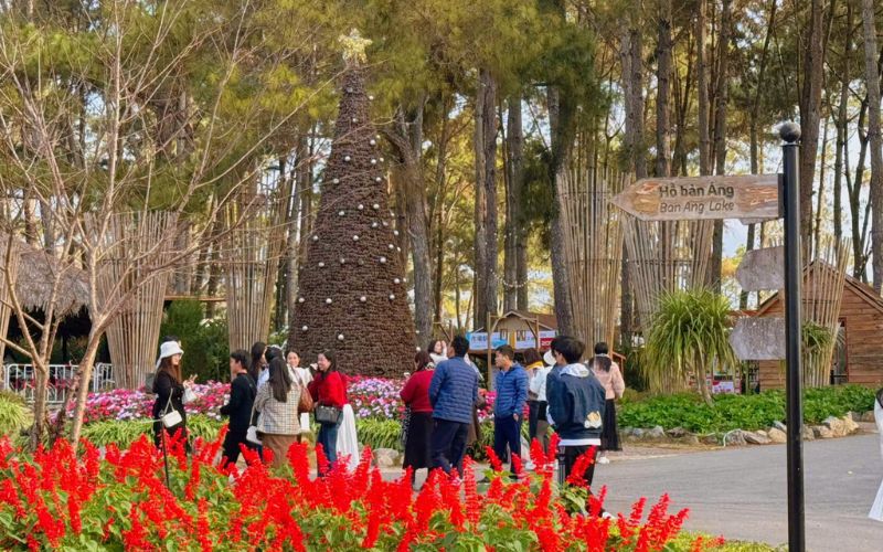 Du khách đến nghỉ dưỡng tại Phoenix Mộc Châu rất đông