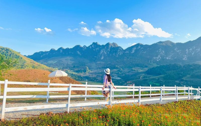 Du khách có thể thoả thích sống ảo