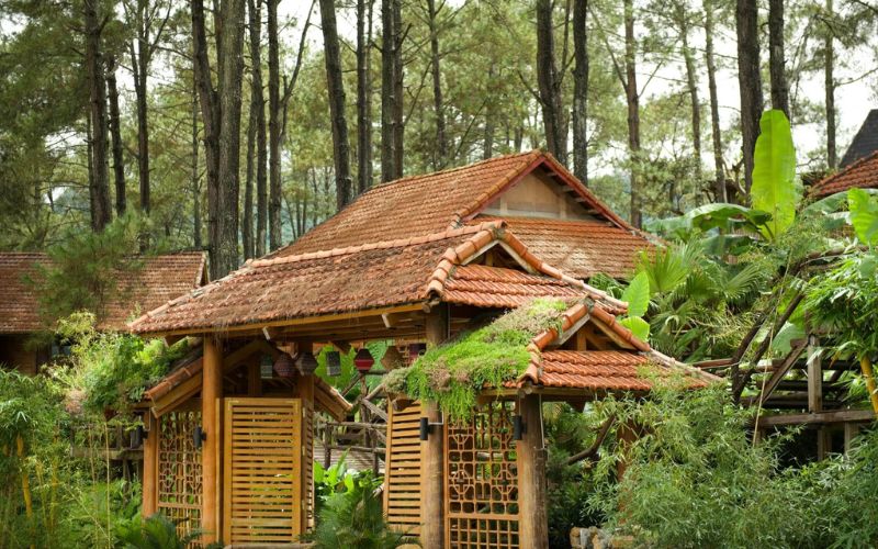 Không gian hoà mình với thiên nhiên