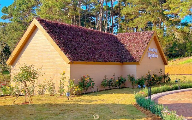 Du khách có thể tham quan nhiều cảnh đẹp