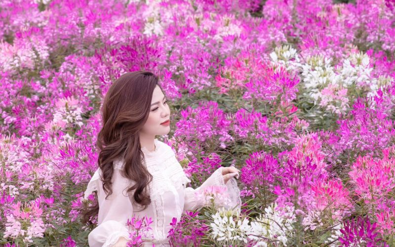 kinh nghiệm du lịch sapa tháng 9