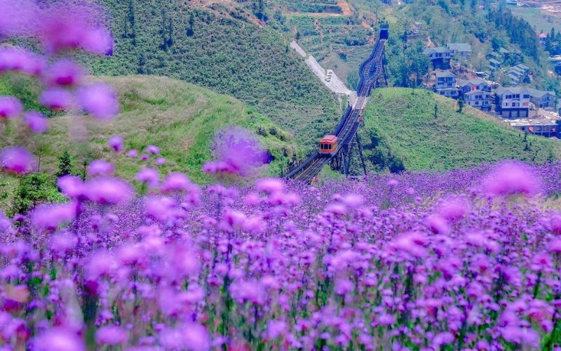 du lịch sapa tháng 9