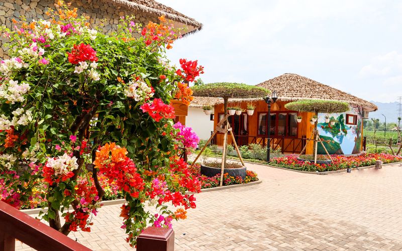 khách sạn tốt nhất ở mộc châu