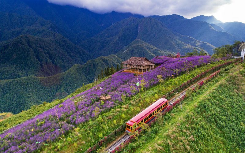 tour du lịch sapa hot nhất